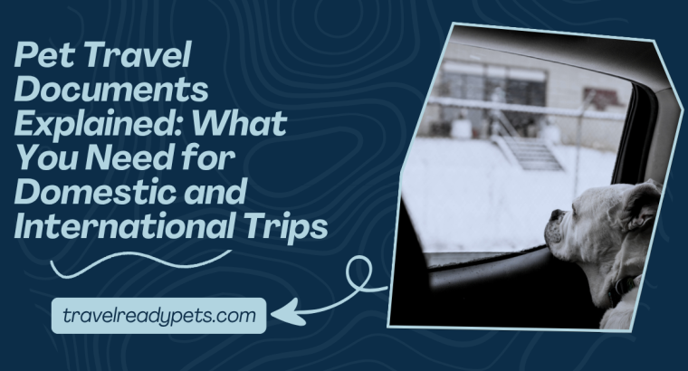 Pet Travel Documents Explained: What You Need for Domestic and International Trips
