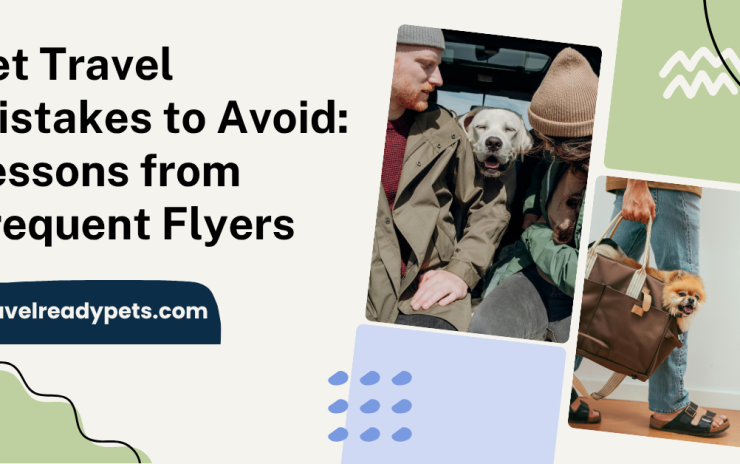 Pet Travel Mistakes to Avoid: Lessons from Frequent Flyers