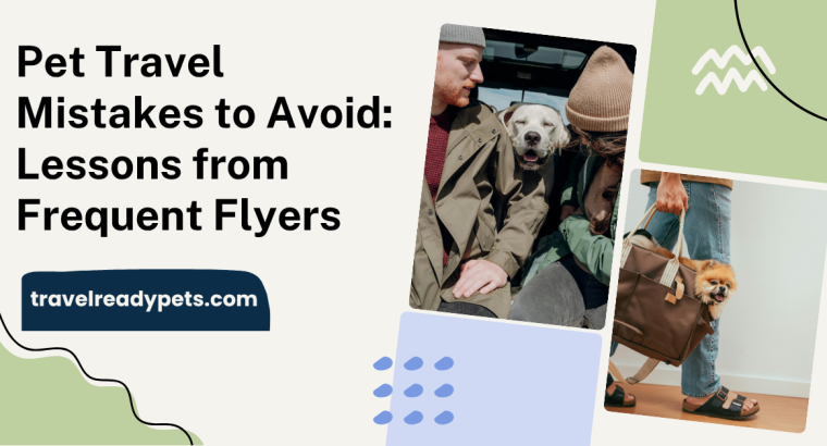Pet Travel Mistakes to Avoid: Lessons from Frequent Flyers