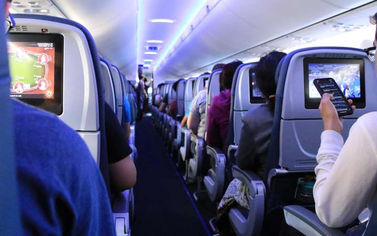 Airline Pet Travel Requirements: A Pet Parent’s Guide