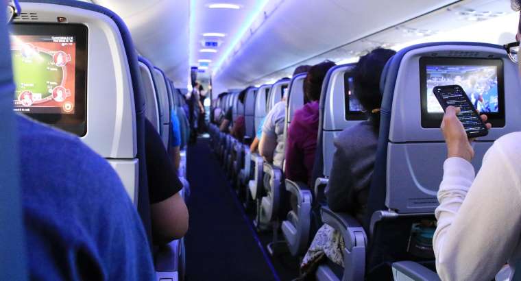 Airline Pet Travel Requirements: A Pet Parent’s Guide